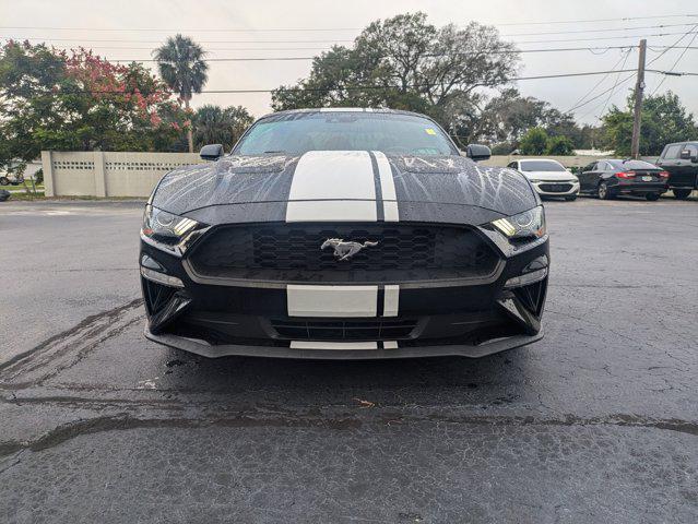 used 2023 Ford Mustang car