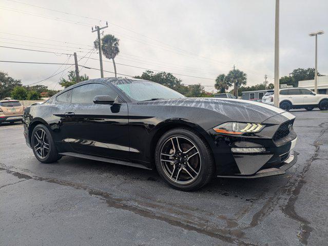 used 2023 Ford Mustang car
