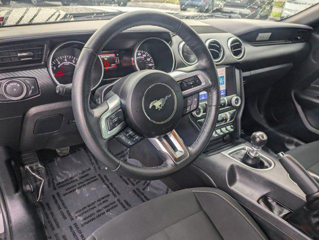 used 2023 Ford Mustang car