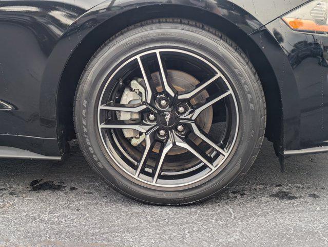 used 2023 Ford Mustang car