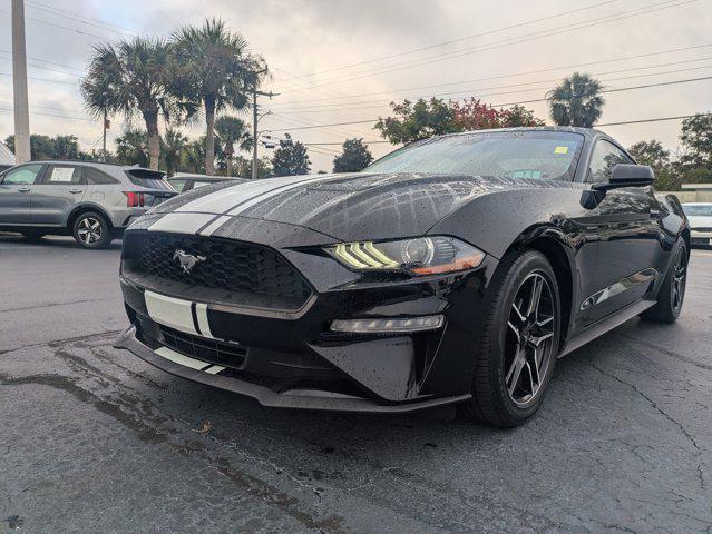 used 2023 Ford Mustang car