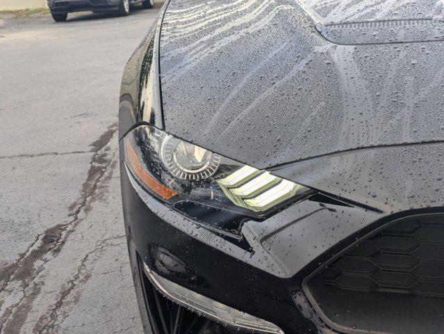 used 2023 Ford Mustang car