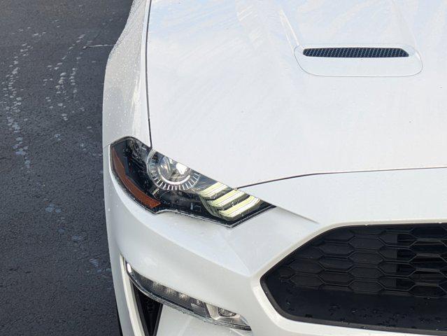 used 2021 Ford Mustang car