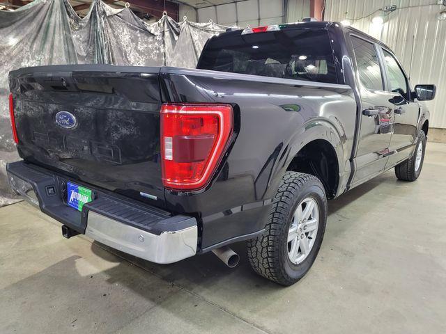 used 2023 Ford F-150 car, priced at $39,800