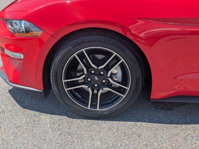 used 2019 Ford Mustang car, priced at $17,567
