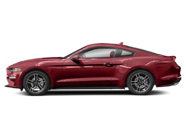 used 2023 Ford Mustang car, priced at $33,123