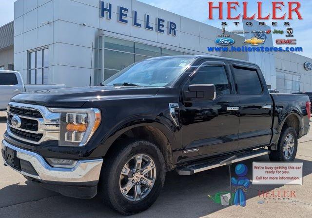 used 2023 Ford F-150 car