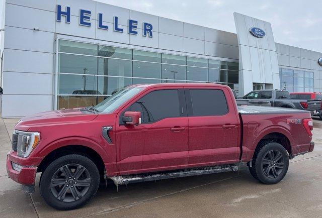 used 2021 Ford F-150 car