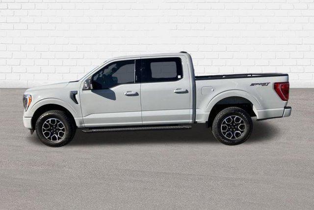 new 2023 Ford F-150 car, priced at $52,995