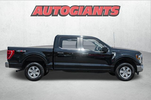 used 2023 Ford F-150 car, priced at $35,500