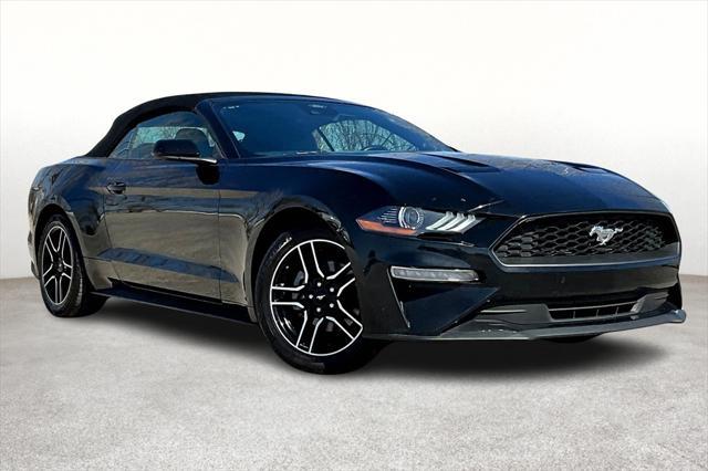 used 2022 Ford Mustang car, priced at $22,300