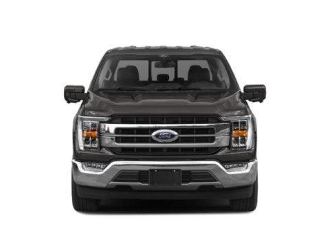 used 2021 Ford F-150 car