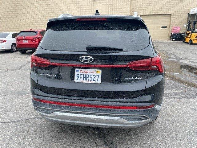 used 2023 Hyundai Santa Fe HEV car, priced at $28,192