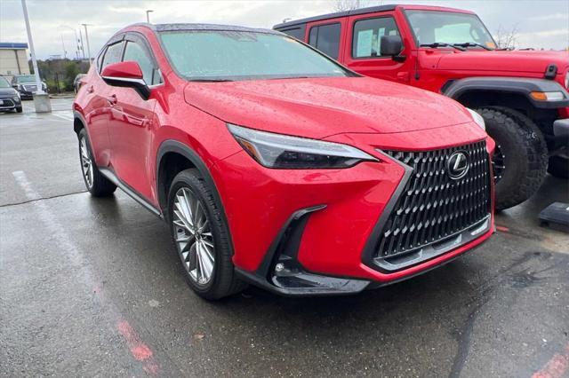 used 2024 Lexus NX 350h car, priced at $50,990