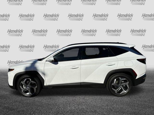 used 2024 Hyundai Tucson car, priced at $32,322