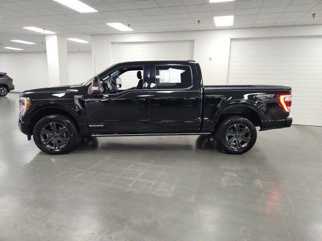 used 2023 Ford F-150 car, priced at $49,176