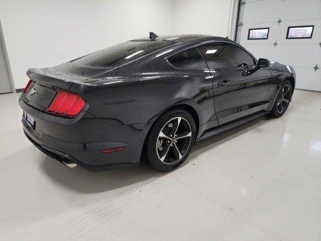 used 2023 Ford Mustang car, priced at $24,989