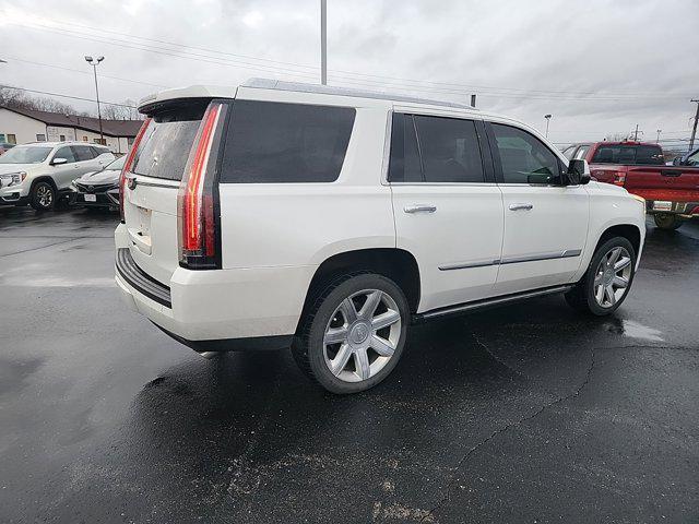 used 2016 Cadillac Escalade car, priced at $24,790