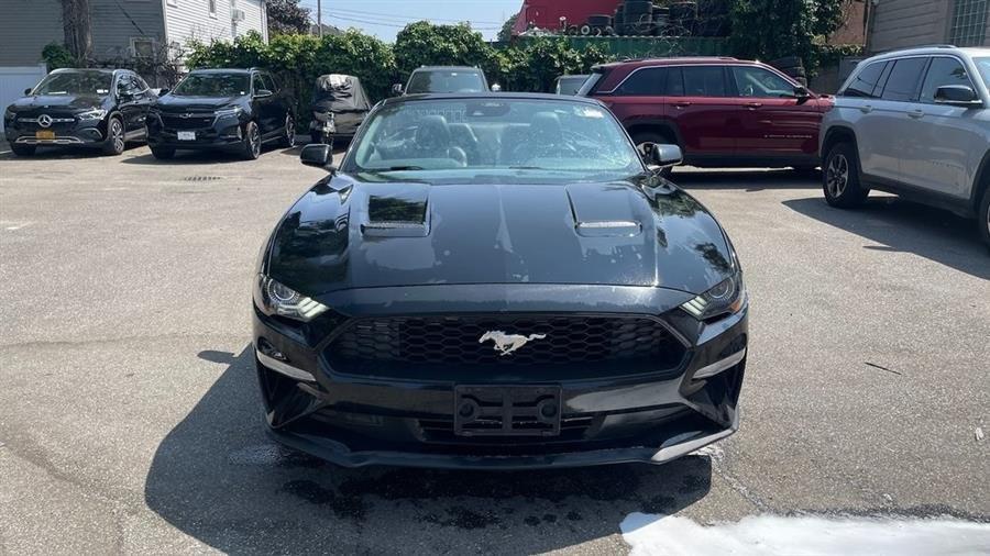 used 2023 Ford Mustang car, priced at $19,988