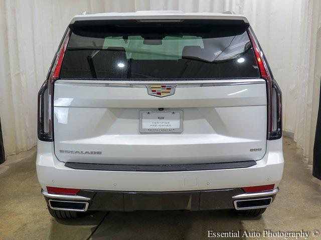 used 2024 Cadillac Escalade car, priced at $83,950