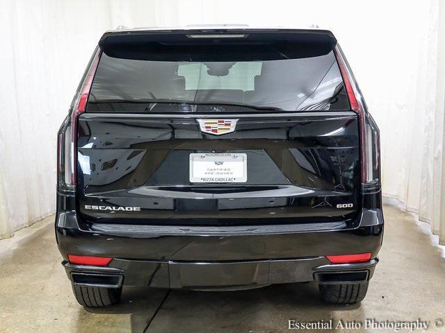 used 2023 Cadillac Escalade car, priced at $75,950