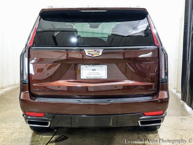 used 2022 Cadillac Escalade car, priced at $65,550