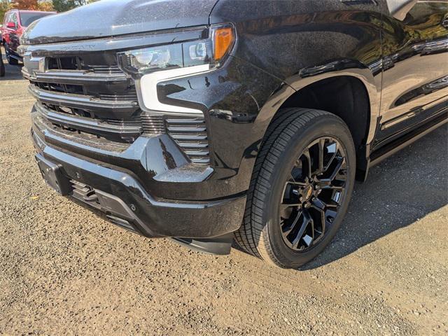 new 2025 Chevrolet Silverado 1500 car, priced at $79,205