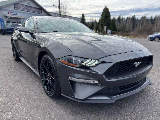 used 2019 Ford Mustang car, priced at $25,995