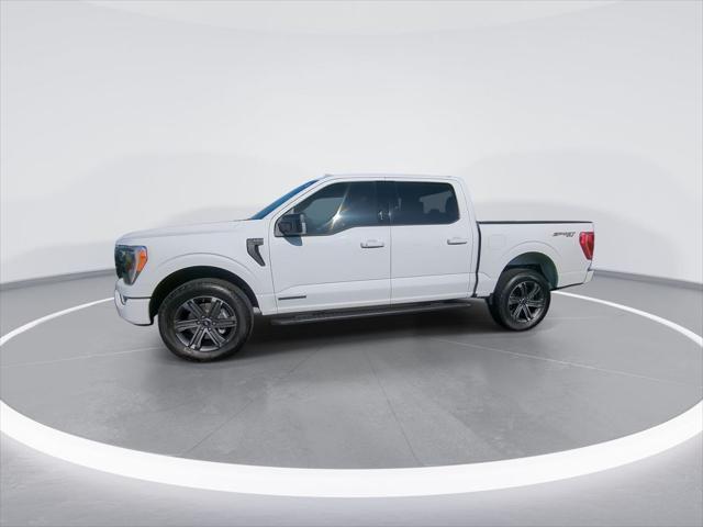 used 2023 Ford F-150 car, priced at $51,750