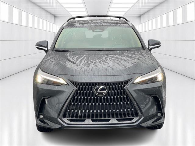 new 2025 Lexus NX 350 car, priced at $51,895