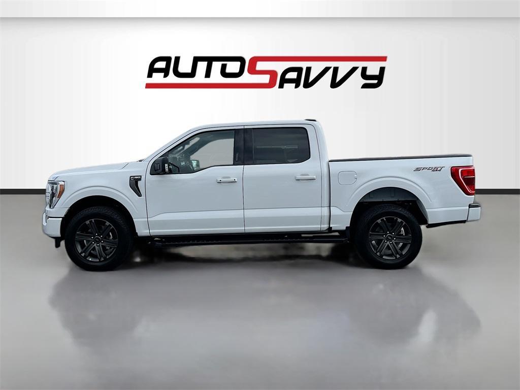 used 2023 Ford F-150 car, priced at $36,000