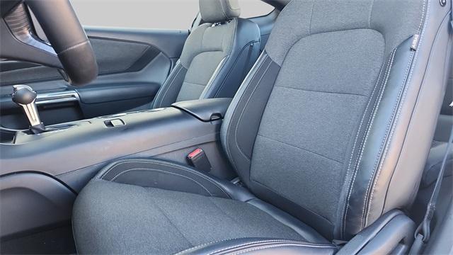 used 2024 Ford Mustang car
