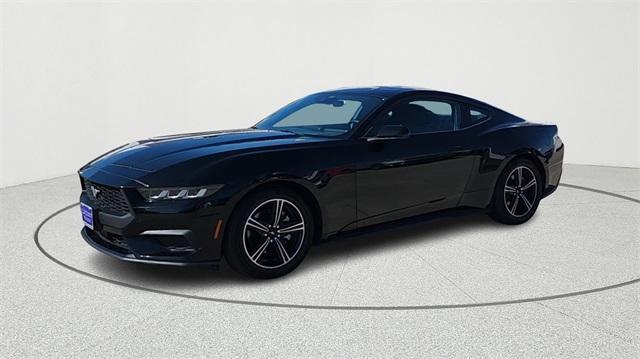 used 2024 Ford Mustang car