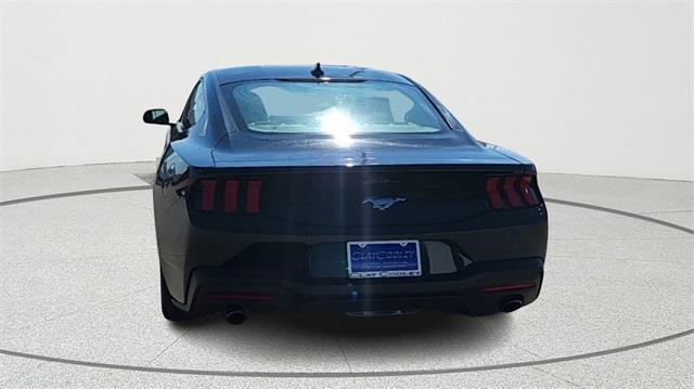 used 2024 Ford Mustang car