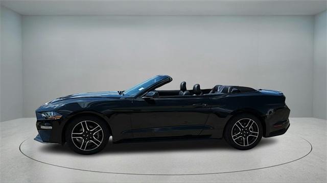 used 2022 Ford Mustang car, priced at $21,991