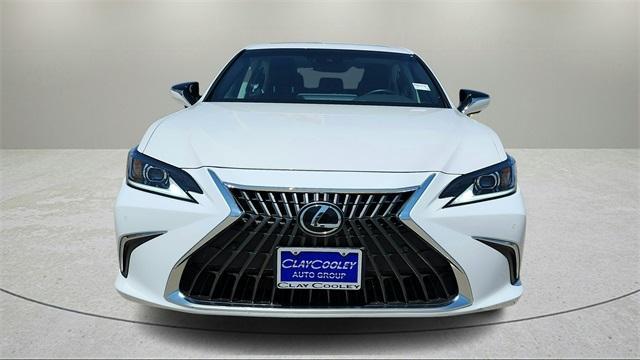 used 2023 Lexus ES 250 car, priced at $39,991