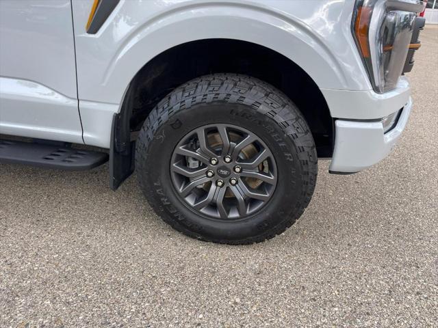used 2023 Ford F-150 car, priced at $56,500