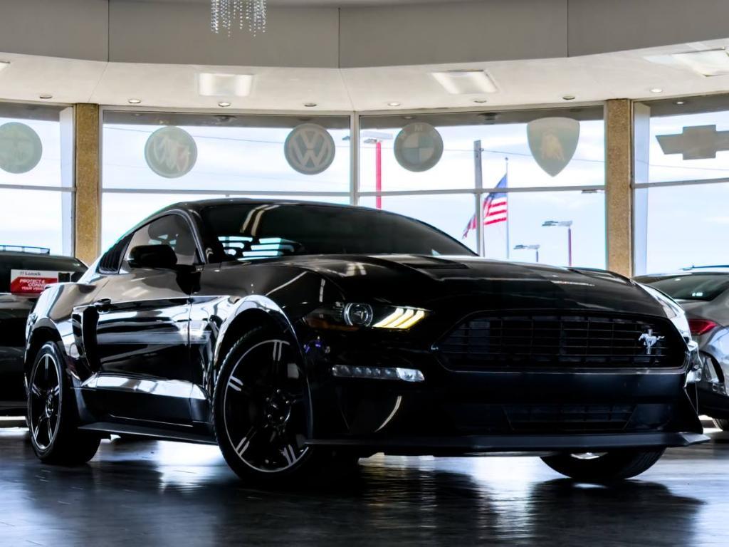 used 2019 Ford Mustang car
