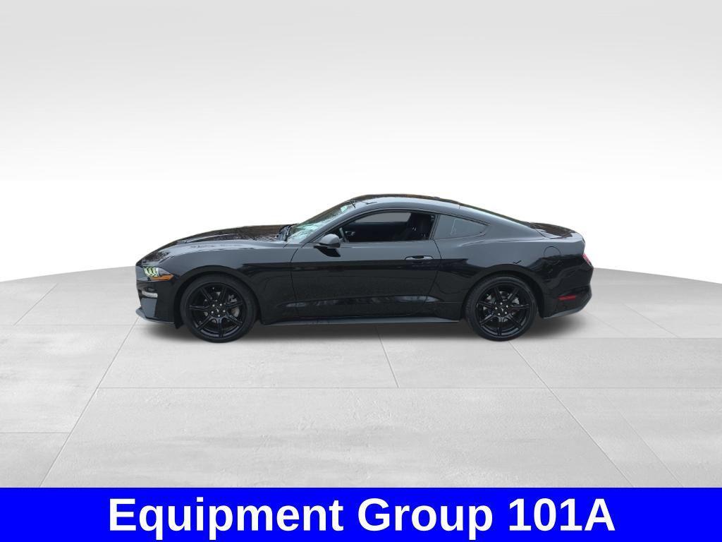 used 2019 Ford Mustang car, priced at $18,900