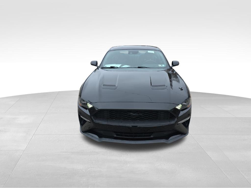 used 2019 Ford Mustang car, priced at $18,900