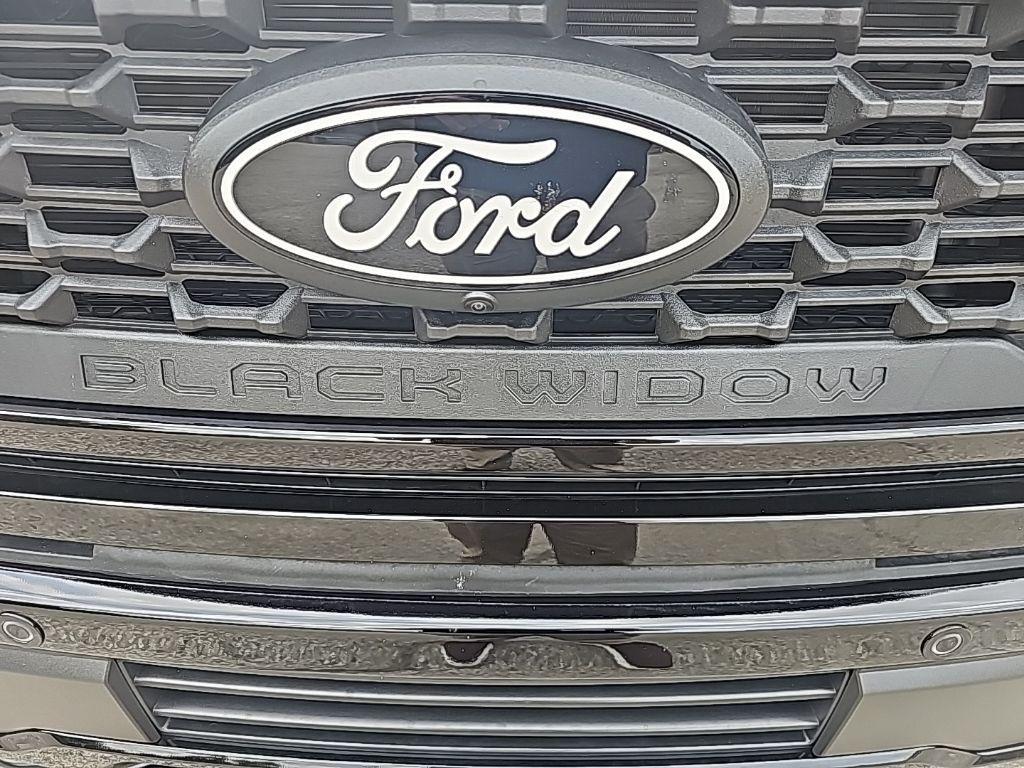 new 2025 Ford F-150 car, priced at $88,025