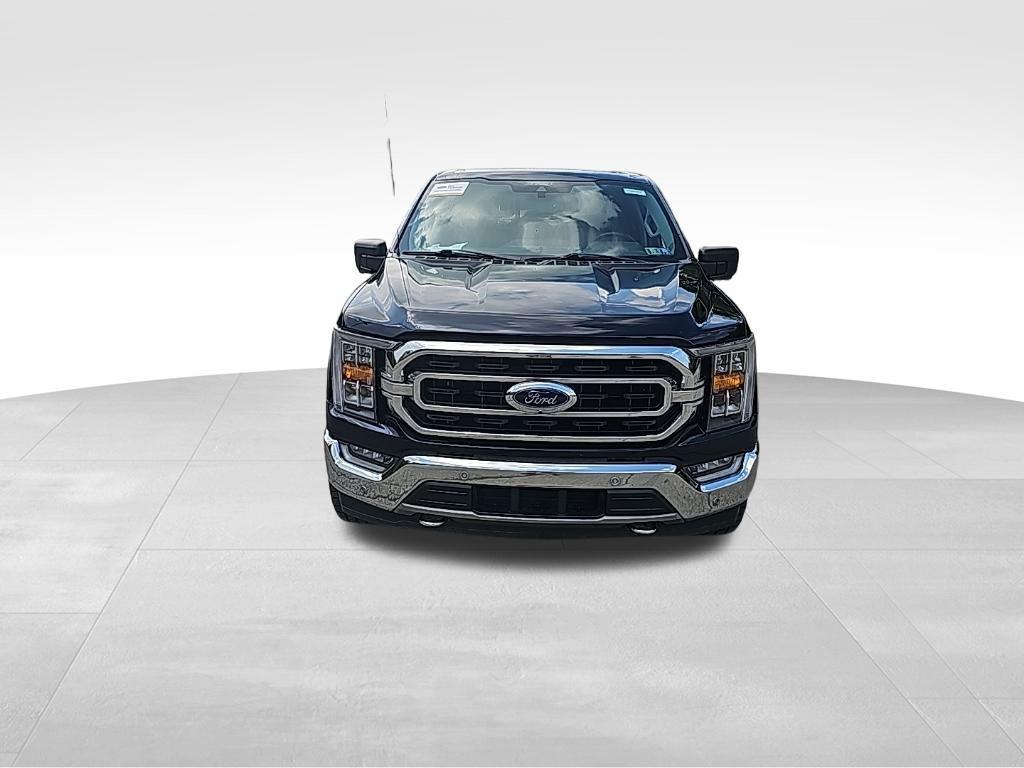 used 2021 Ford F-150 car, priced at $35,000