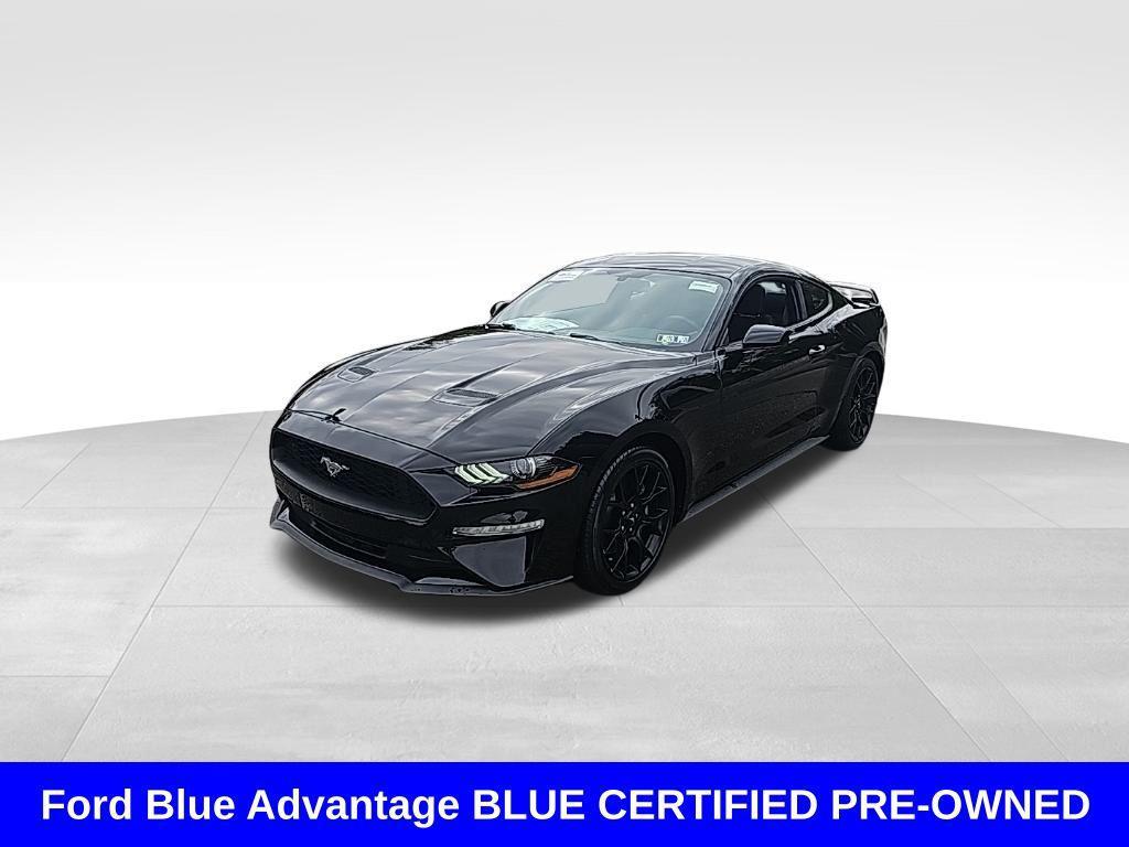 used 2019 Ford Mustang car, priced at $22,999