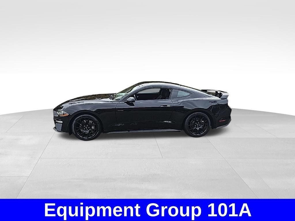used 2019 Ford Mustang car, priced at $22,999
