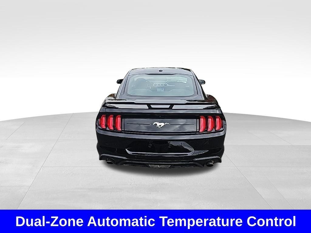 used 2019 Ford Mustang car, priced at $22,999