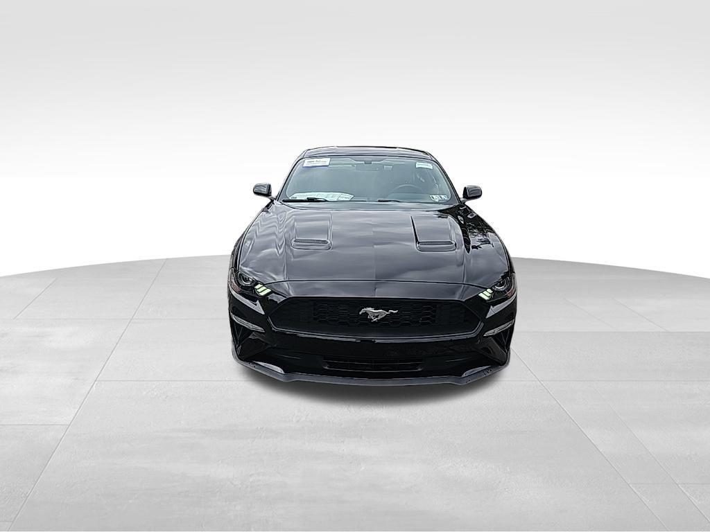 used 2019 Ford Mustang car, priced at $22,999
