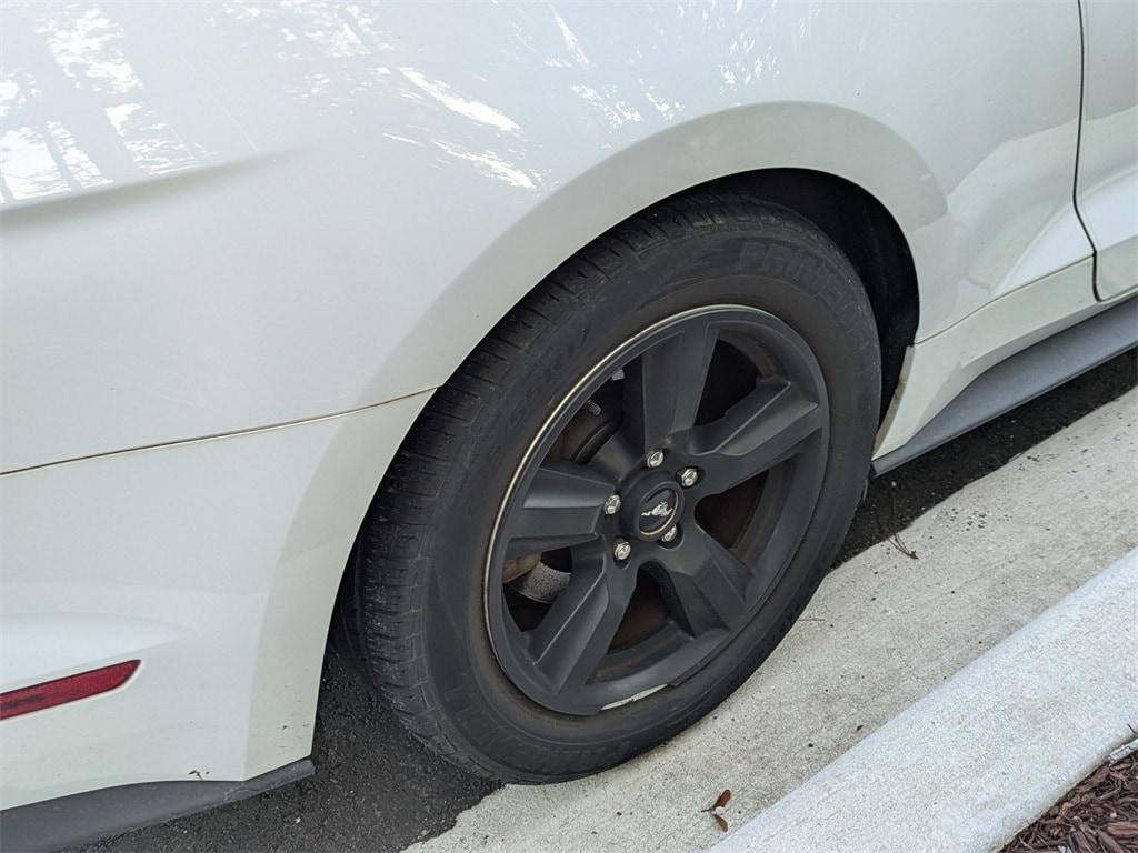 used 2019 Ford Mustang car, priced at $19,831