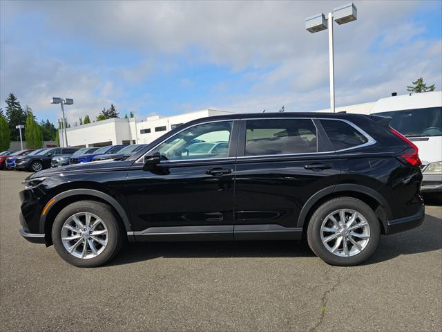 used 2025 Honda CR-V car