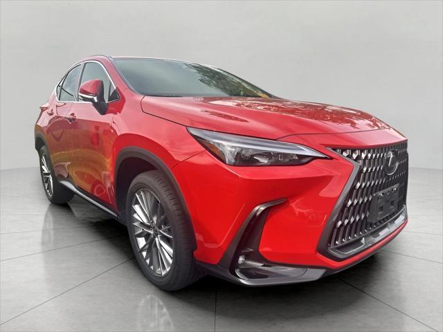 used 2025 Lexus NX 350h car
