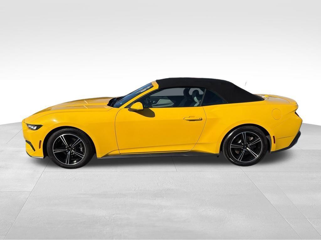 used 2024 Ford Mustang car, priced at $26,997